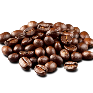 Robusta coffee bean
