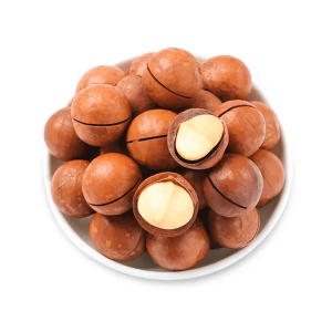 Macadamia Nut in Shell